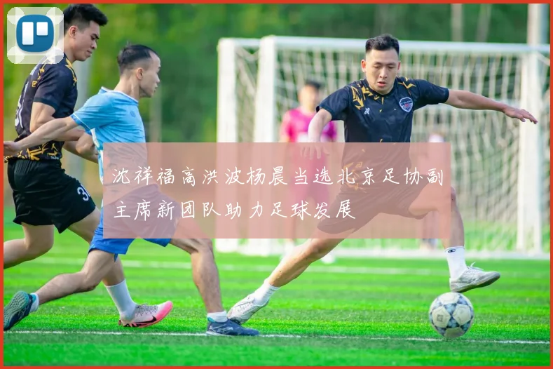 沈祥福高洪波杨晨当选北京足协副主席新团队助力足球发展
