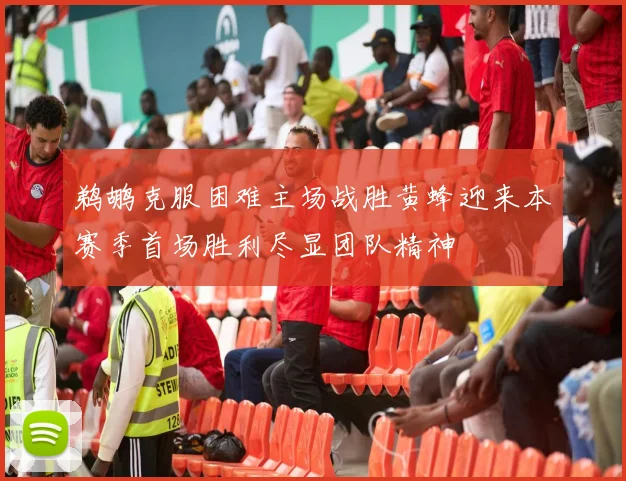 鹈鹕克服困难主场战胜黄蜂迎来本赛季首场胜利尽显团队精神