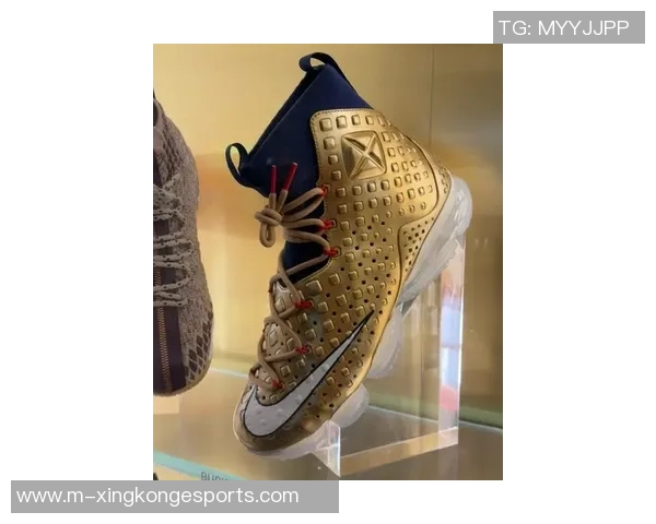 球鞋媒体曝光詹姆斯众多未发售Sample鞋款引发球迷热议